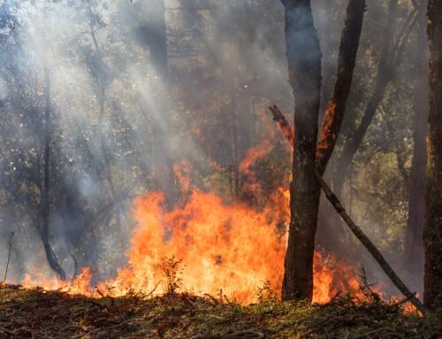 Achtung Waldbrandgefahr